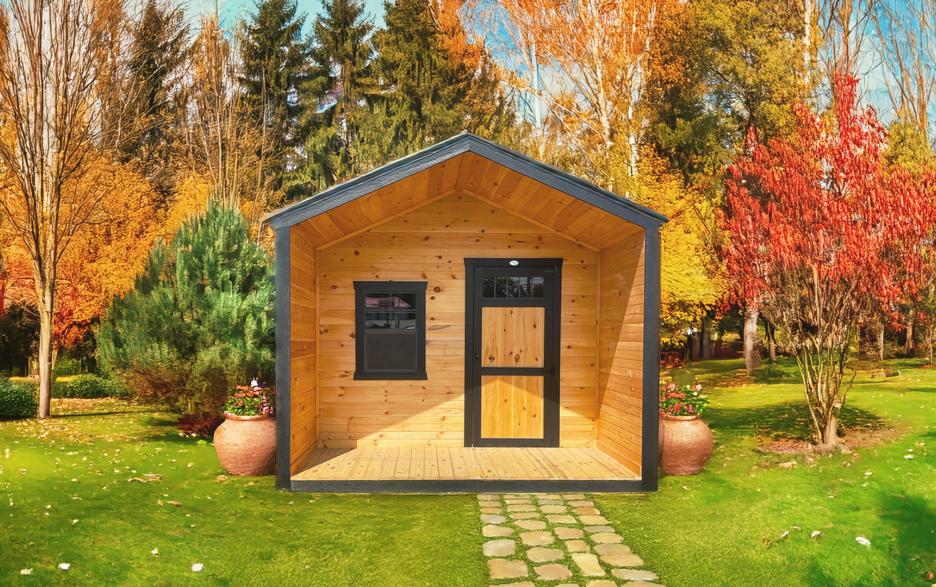 Compass Modern Cabin: black LP barn siding with pine door, black trim and shiny black roof.