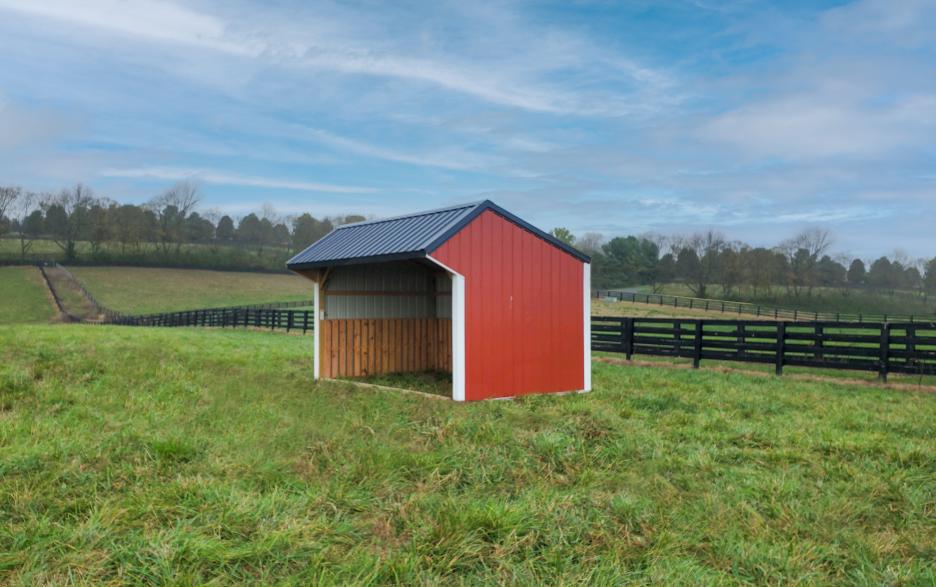 Run-In Shed: Jamestown Red LP barn siding, shiny black roof, and white trim
